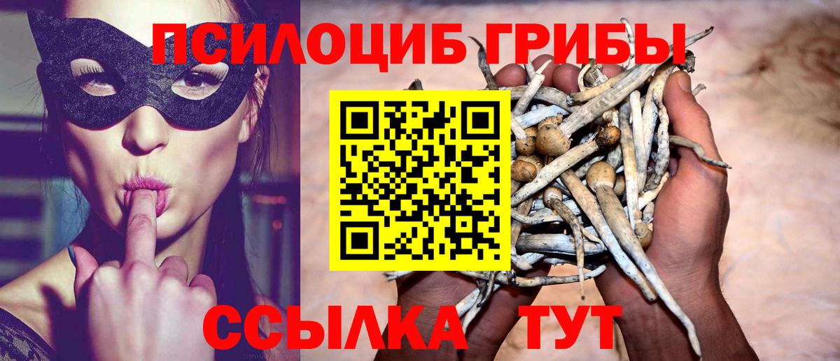Псилоцибиновые грибы MAGIC MUSHROOMS Бийск